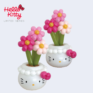 HK LIMITED SERIES FLOWER POT SET #2
